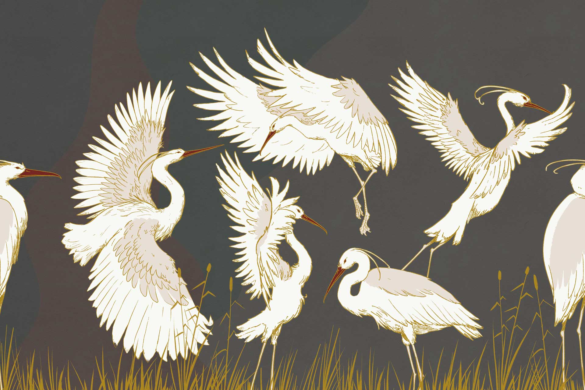 Cartilla / Wallpaper art